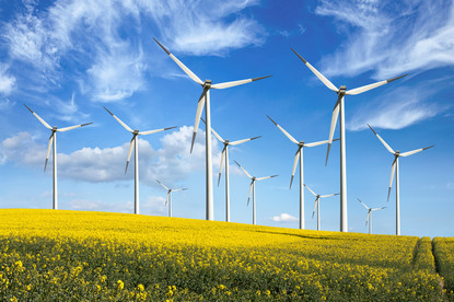 Das Bild zeigt Windräder an einem Rapsfeld.