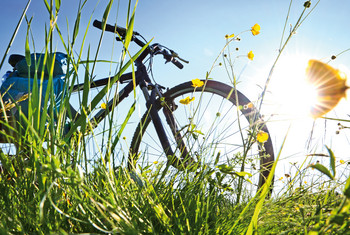 Fahrrad im Gras