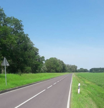 Eine Straße in Sachsen-Anhalt.