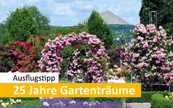 Das Bild zeigt Rosen im Rosarium Sangerhausen.
