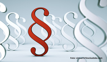 Das Bild zeigt Paragrafen.