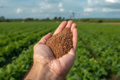 Dünger in der Hand
