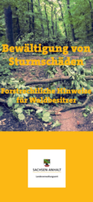 Titelbild: Flyer Bewältigung von Sturmschäden